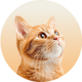 Nick
