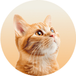 Nick