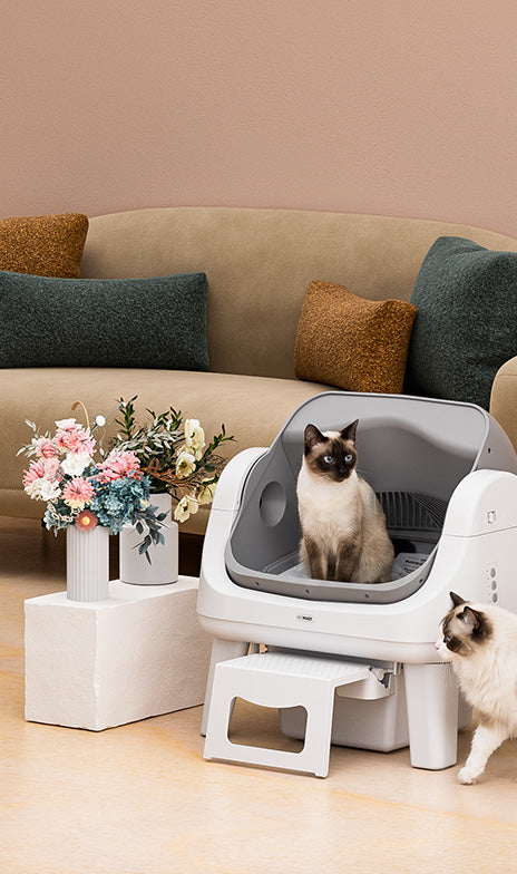 Give Mom the Gift of Clean this Mother’s Day