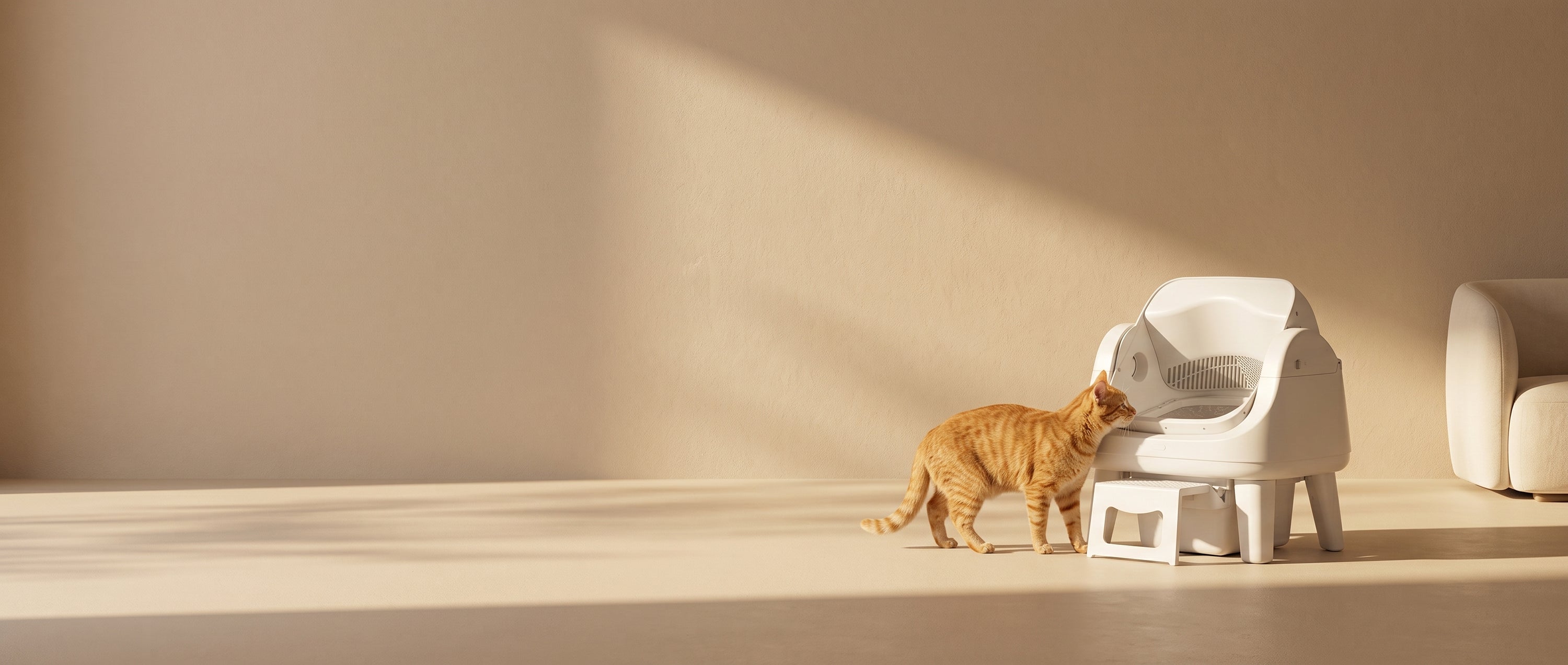 Cat Adaptation Guide