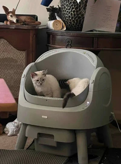 Review by Ben T.