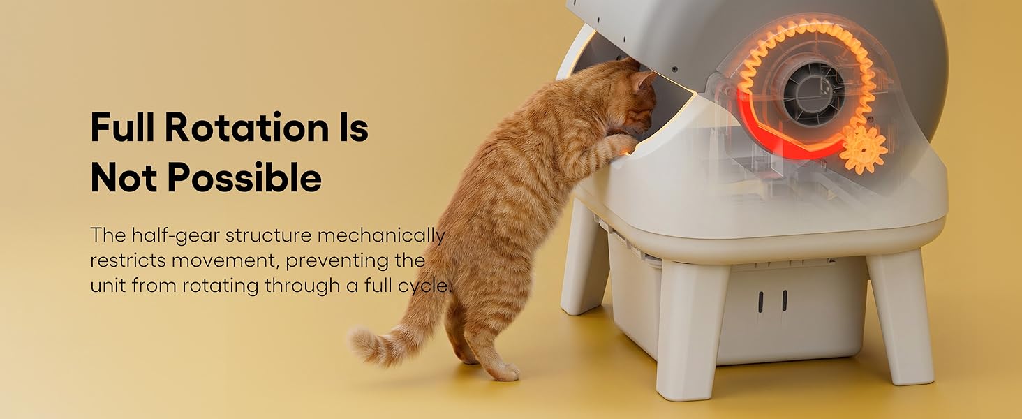 Mechanical Safety Limit